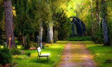 青年节话题探讨：一系列简短而精彩的关于青年节的表达