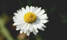 分享五四青年节快乐祝福的心情留言,搭配鲜活有趣的文字表达和深情动人的情感寄语,感受青春的活力和热情、追求梦想的勇气和信念,共同祝愿新一代青年在充满挑战的未来之路上顺利前行、扬帆远航!