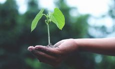 青春洋溢的青年节，分享经典的朋友圈说说句子，探讨关于为何青年节如此重要的话题