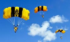 一些让孩子开心笑容的美妙句子,让我们一同分享喜悦!