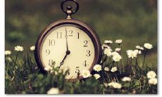 精选珍爱光阴的引人深思诗句,提醒我们把握每一刻的生命价值