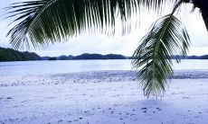 以愉悦而喜悦的情绪之笔,撰写令人心旷神怡的文句