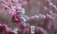 寒冷刻骨的小寒节气：呈现冰封世界、冻寒肌骨、银装素裹的痛苦画面