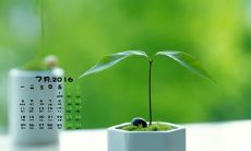 珍爱亲情，感言心情：分享几句表达对家人感激与珍视的句子