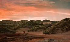 感到对小姑子充满失望和心寒的痛苦之言