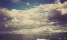 通过环境描写彰显人物欢乐的氛围:描述环境表现人物愉悦情绪