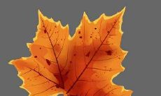 端午节热情洋溢的舅舅用温馨问候短信传递祝福的故事