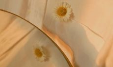 如何撰写容易登上热门榜单的成功文案？