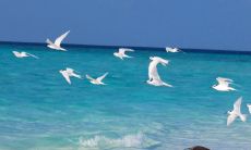 2022年的十大引人入胜的句子，让你不禁深思远虑！