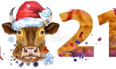 50个简短而甜美的新年祝福句子，让你的节日更加难忘！