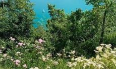 部队运动会口号,简短有力八个字!