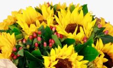 睿智高尚、健康向上的大学校园运动会口号呈现：展现创新与活力的青春风采，彰显团结与拼搏的奋斗精神！