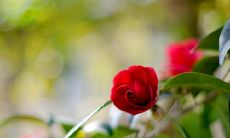 推动精神文明建设,增强体育意识——2019年大学校运动会口号16字