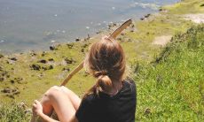 如何撰写有用的问候短信，以向学校领导展示您的良好意图？