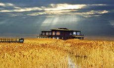 用你的全力开心，尽情奔跑的句子！