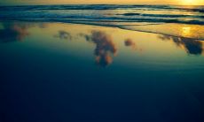 一份让你振奋精神的励志早晨问候短信，让你迈开步子迎接美好一天