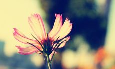 如何在手机上给老年人发送有趣而温馨的问候短信？