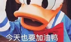 跃动在绿草如茵的运动场，二班迈着铿锵有力的步伐，欢呼着口号响彻云霄，呼唤着胜利的喜悦氛围，一起加油奔跑，向着运动会的荣誉冲刺！——二班的押韵口号闪耀运动场