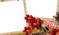 寒冷的周三，收到温暖问候的手机短信！