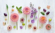 50个唯美句子,欢迎迎接清新春天的访问