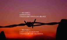 寿的成功秘诀：生命中的十大哲理感言！