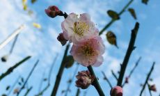 让秋天充满浪漫与唯美:令人心醉的秋天句子大全