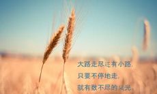 感性励志，来自内心深处的独特语句，振奋人心