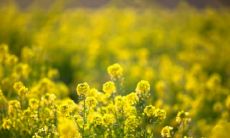 26句描写夏日炽热气息的句子,这份说说清单,让你在夏日的阳光下感受炙烤的温度