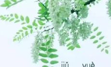 在九月里,希望待我更好:一则自言自语,回首八月,再次与新月互致问候