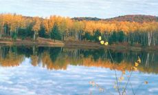 2022九月最完美的早安心语汇总，让你的朋友圈更加温暖和唯美！