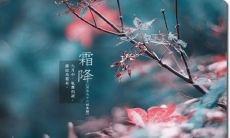 经验分享：暖意绵绵的冬日佳句以及令人超治愈的霜降文案推荐