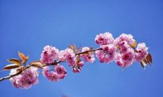 29句令人心旷神怡的九月朋友圈说说,用暖心语句让自己和别人更加快乐与幸福!