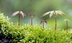 汇集大量启发人心的经典古文励志名言，让你充实内在，振奋精神！