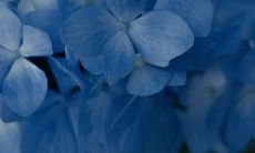 享受周末时光的喜悦：在短暂的放松假期里感受到无尽欢乐与满足的美妙时刻