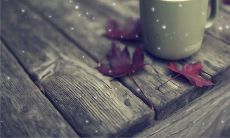 深陷痛苦的绝望，只能用流泪表达心碎的句子