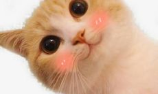 祝愿孩子们度过快乐而充实的暑假,尽情享受无拘无束的游戏和探索时光