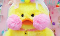 只要坚持下去，相信自己，成功就一定在前方等待着你！