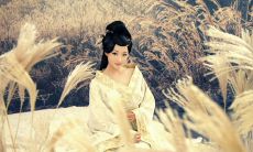 精选古代伤感句子:描绘情感悲愁、倾诉爱恨之情的经典语句