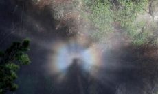 下雨的天气也能让你心情愉悦:分享几句让你感到开心的话!