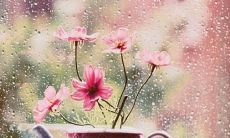 如何运用语言让女朋友回家后感到愉悦和开心？