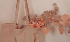 以温柔书摘为主题的震撼全球的壮举