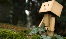 一组兼具伤感与优美的精致句子集锦