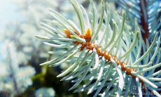 寒冬来临，收藏这些思悟深入灵魂，带你度过漫长冬季的名言警句