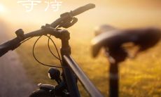 漫长无尽的等待中所遭遇的伤心之言
