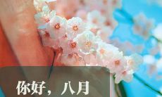 八月亲切问候，分享说说语录，感受每一天的精彩瞬间