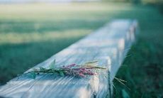 一些祝福的句子，用于庆祝六一儿童节的所有孩子们的幸运和快乐