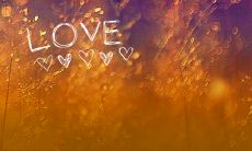 2022年备受瞩目的情人节来了，为您准备了一份包含经典文案和语录的大全，可供您挑选选择使用来表达您对心爱之人的深情厚意！