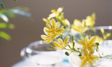 通过手机短信向顾客发送元宵节祝福，促进客户关系的营销策略