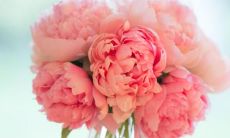 几个简单的词组合成的轻松愉快、无忧无虑、欢乐幸福的常用语句