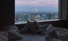 男生对爱情的绝望表达——分享失望心情的句子和短语